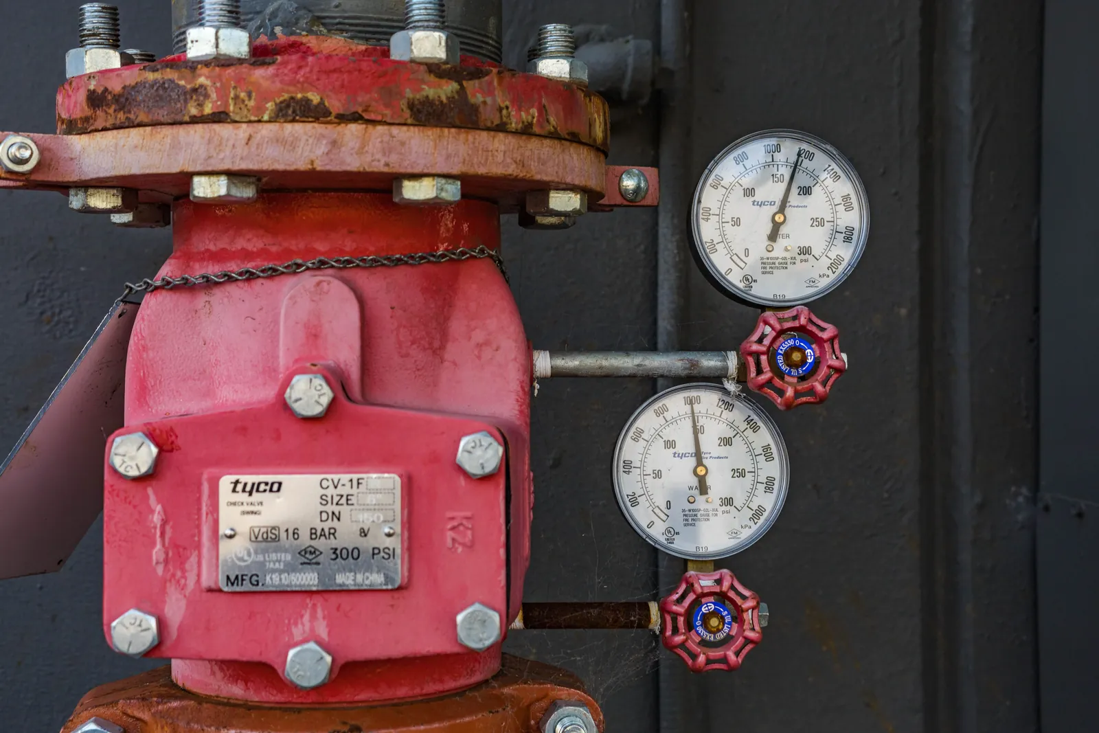 An industrial pressure gauge and valve assembly
